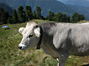 P7190747