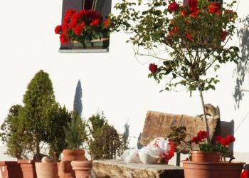 bauernhof schrott appartements jerzens im sommer