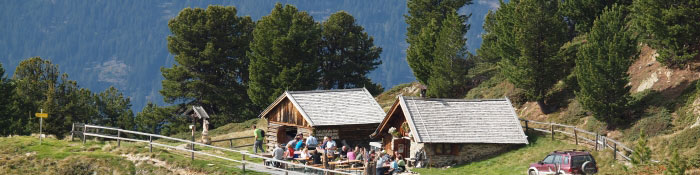 head sommer appartements jerzens kalbenalm