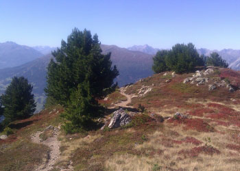 sommer wandern appartements jerzens pitztal
